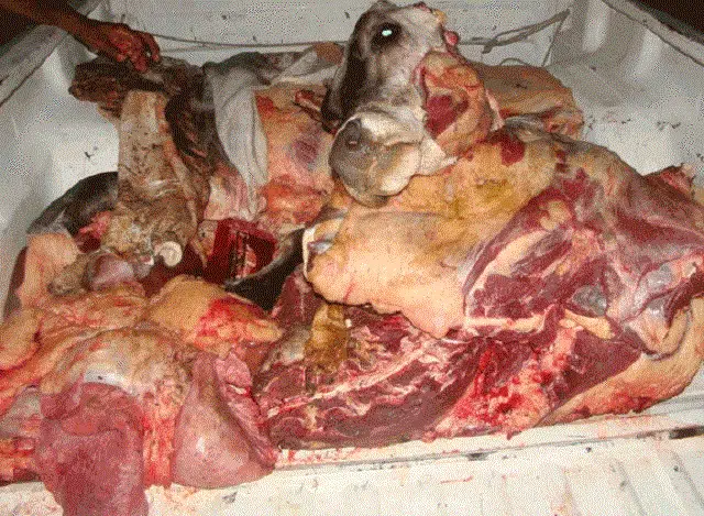 PRM apreende carne supostamente roubada