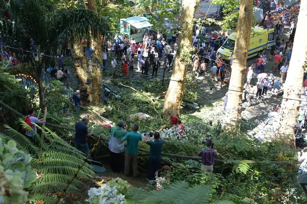 Árvore cai sobre fiéis durante festa religiosa e deixa vários mortos e feridos