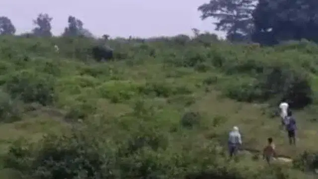 Homem morre esmagado por elefante após tentar tirar selfie