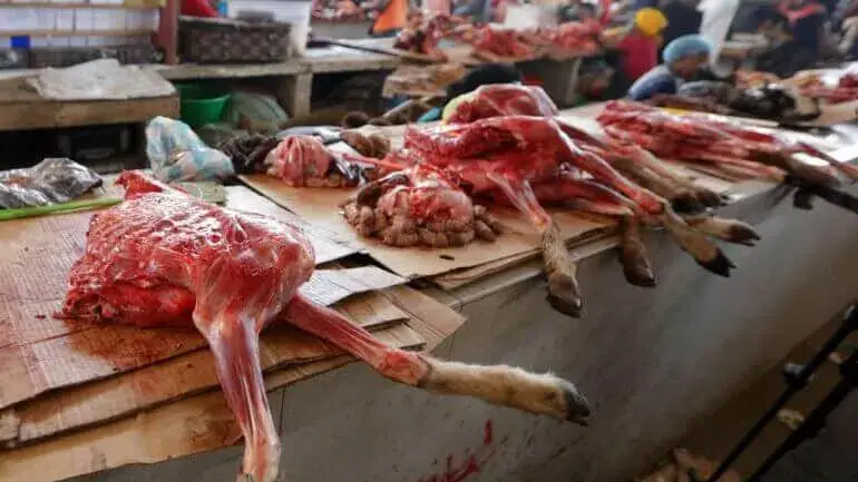 INAE apreende 55 toneladas de carne da África do Sul