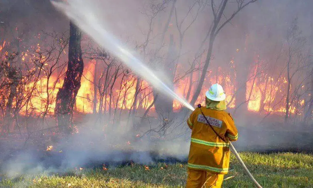 Violentos incêndios destroem 90 casas na Austrália