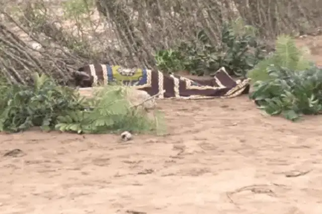 Desconhecidos violam e matam rapariga no Chimoio