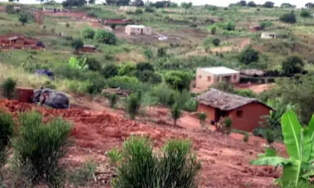 Indivíduos violam e extraem órgãos genitais a menor de 12 anos