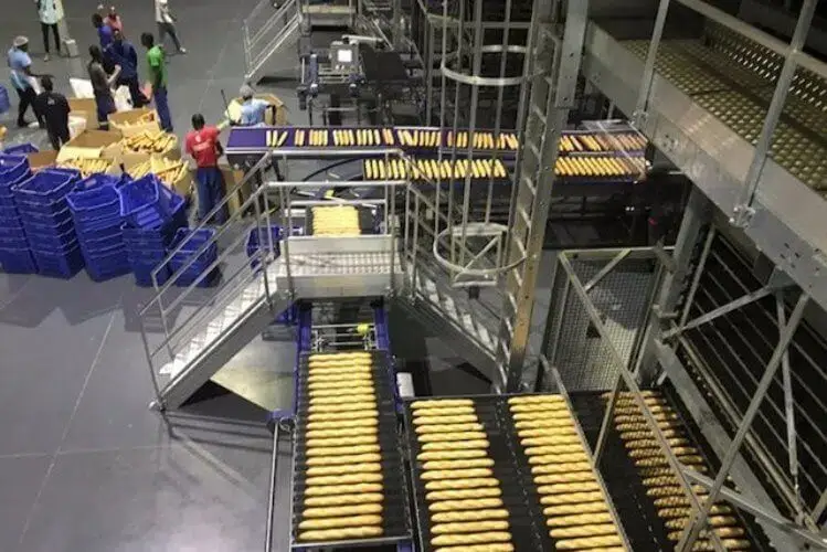 Trabalhadores da “Espiga d'Ouro” retomam actividade