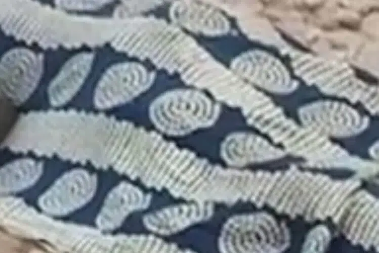 Anciã acusada de feitiçaria espancada até a morte