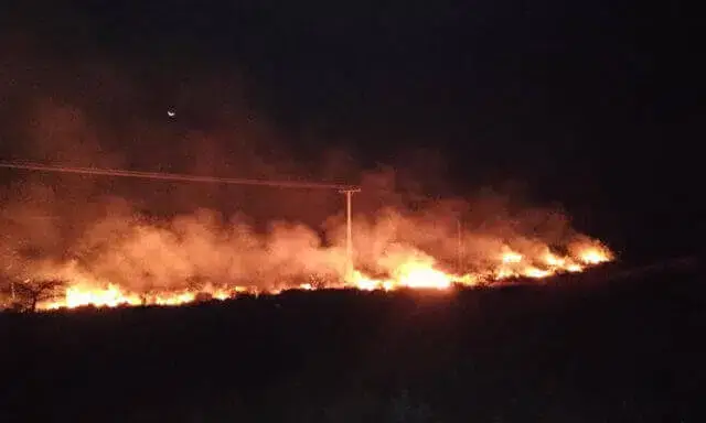 Incêndio atinge Reserva Especial de Maputo