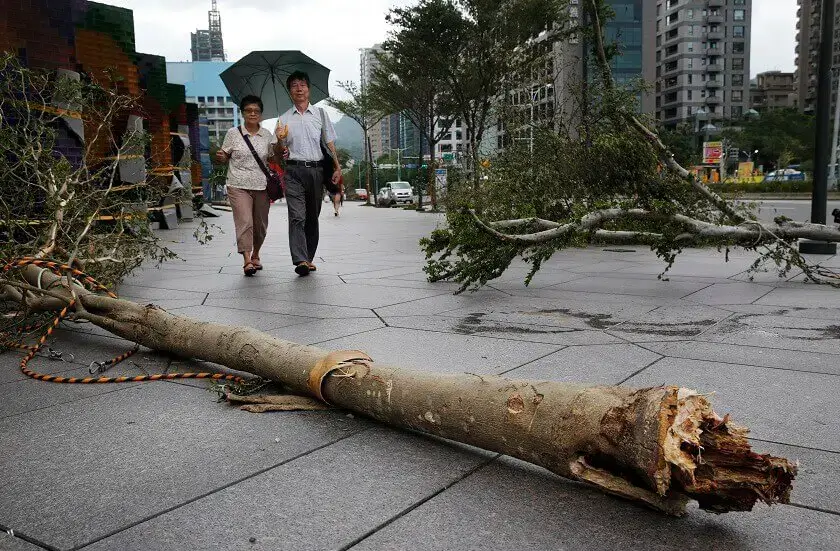 Filipinas-confirma-mais-de-60-mortes-com-passagem-do-tufão-Mangkhut