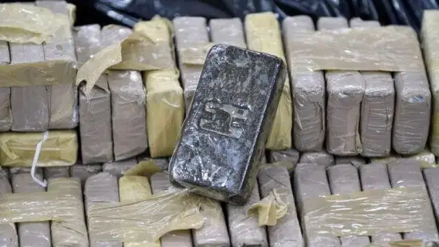 Três portugueses detidos com 16,5 quilos de droga no Aeroporto de Maputo