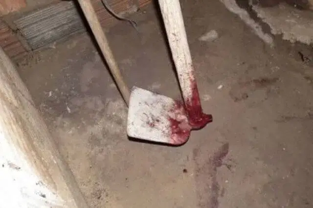 Mulher mata sua filha com recurso a enxada