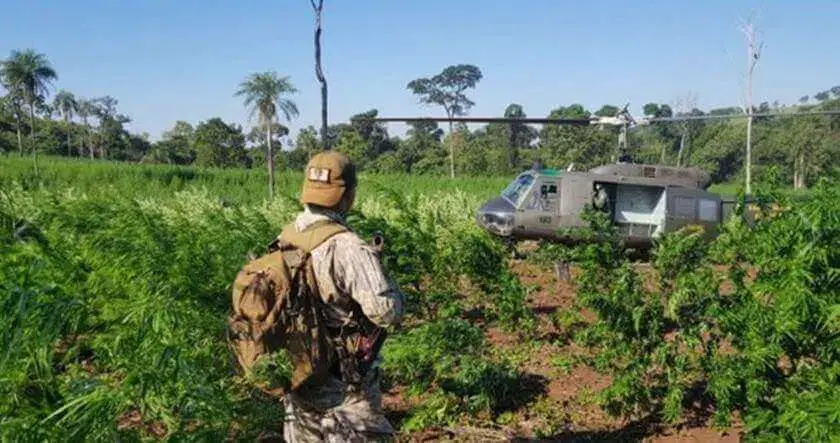 Polícia apreende 1,1 tonelada de maconha avaliada em US$ 33 milhões