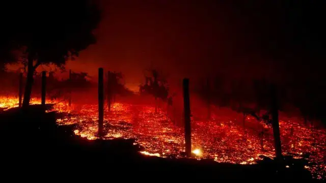 Empresa elétrica provocou incêndio na Califórnia que matou 85 pessoas