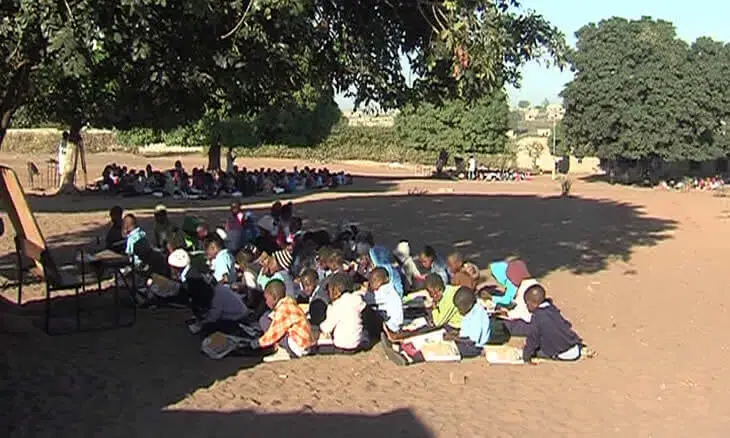 Mais de 600 alunos estudam de baixo de árvores em Marracuene