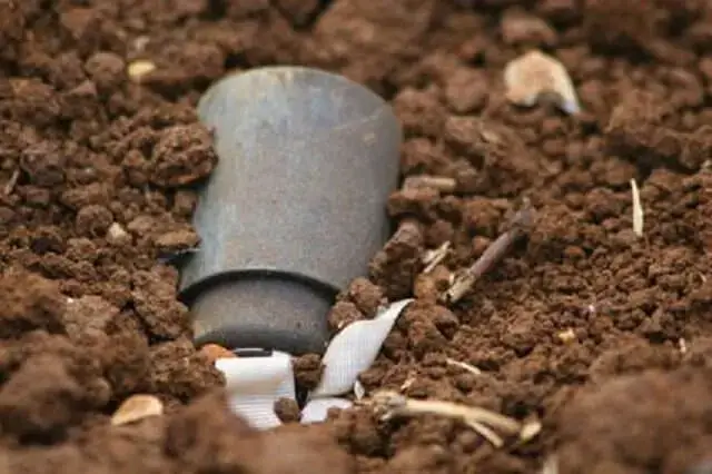 Três-crianças-morrem-após-explosão-de-engenho-que-encontraram-numa-mata