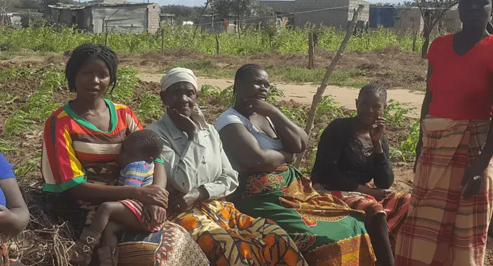 Mais de mil moradores da KaTembe com tTerra Segura