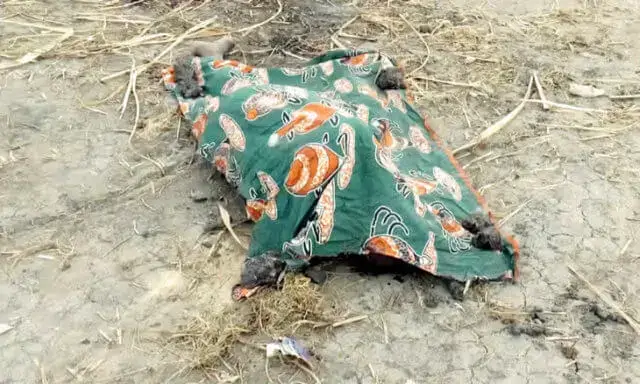 Presumíveis assaltantes morrem linchados na cidade da Beira