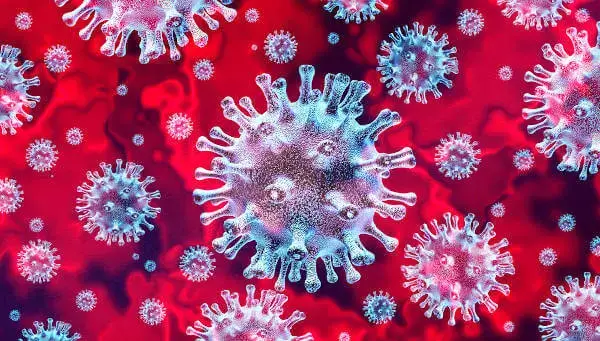 Novo coronavírus pode ter se espalhado na China em agosto, segundo Harvard