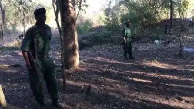 Grupo de homens armados incendeia posto de saúde no distrito de Nhamatanda, em Sofala