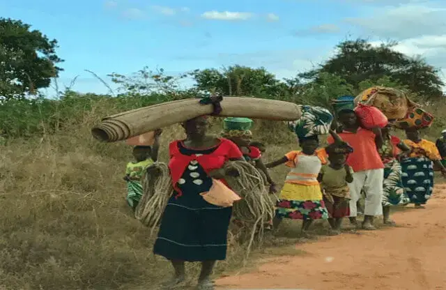Governo preocupado com movimentação de deslocados em Cabo delgado