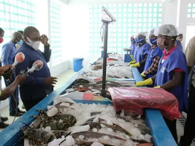PR satisfeito com modelo dos Mercados de Peixe, no país