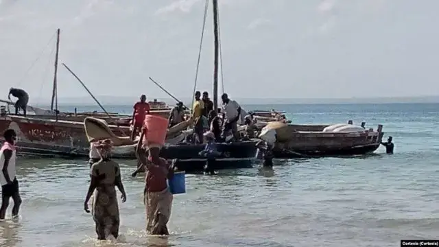 Milhares continuam a fugir da insurgência em Cabo Delgado