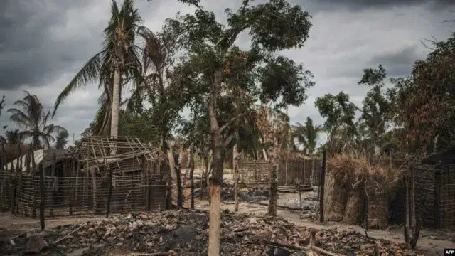 Moçambique e Tanzânia terão operações conjuntas contra os insurgentes de Cabo Delgado