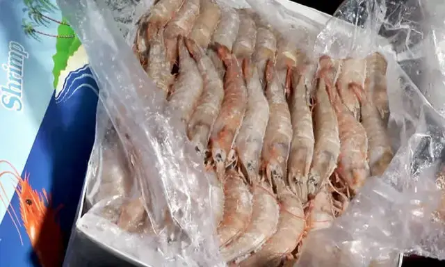 Fiscais das pescas em Cabo Delgado denunciam esquemas no negócio do camarão
