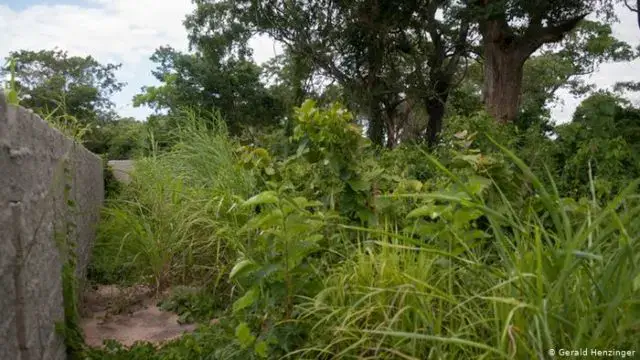 Corpo de antigo deputado da Renamo raptado encontrado numa mata no centro de Moçambique