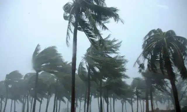 Alerta para chuvas fortes este fim-de-semana em Maputo e Gaza