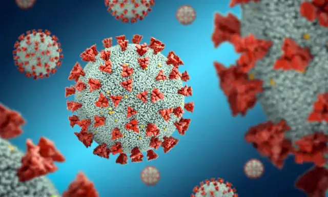MISAU confirma mais 907 novas infecções e 11 mortes por COVID-19