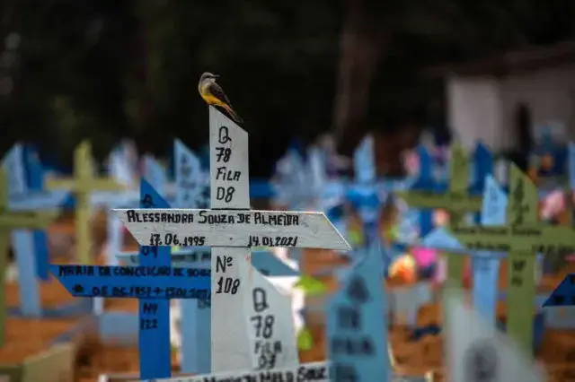 Coronavirus pandemic in Brazil