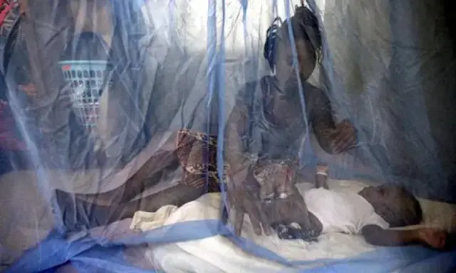 Quatro pessoas já perderam a vida devido à Malaria