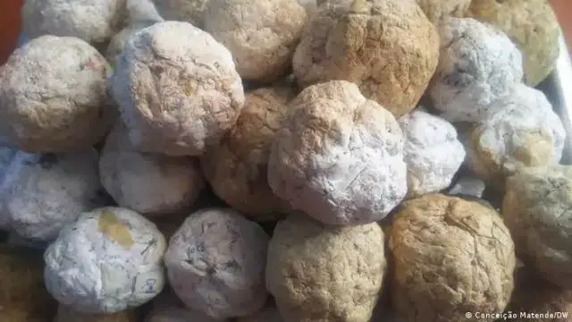 Ativistas desenvolveram iniciativa para combater desmatamento ilegal e preservar florestas em Niassa