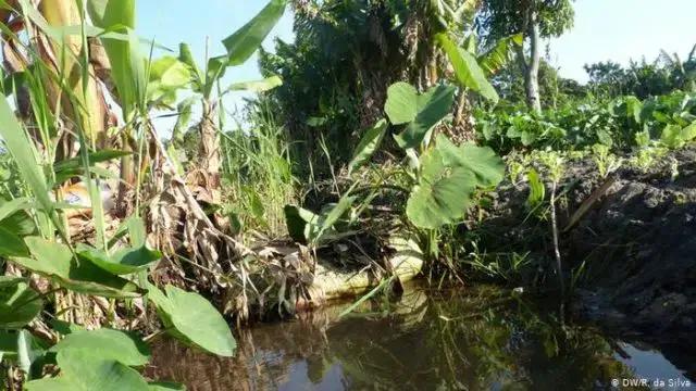 Poluição dos rios devido à mineração está a preocupar os agricultores em Manica