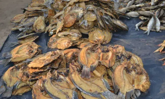 Autoridades governamentais preocupados com o contrabando de pescado em Tete