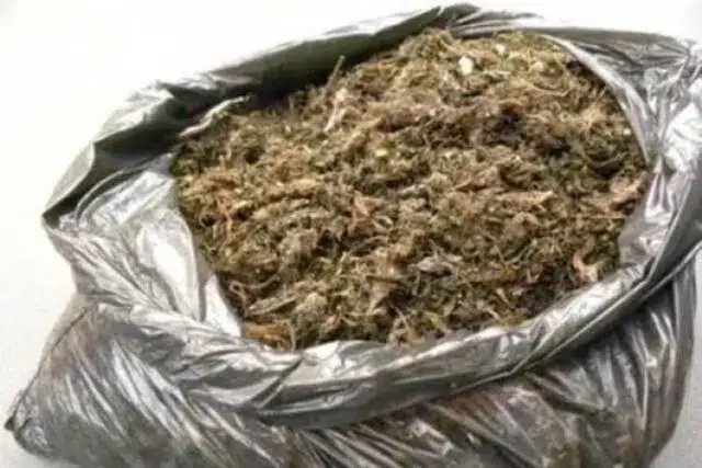 Mais de 20 quilos de droga foram incineradas em Sofala
