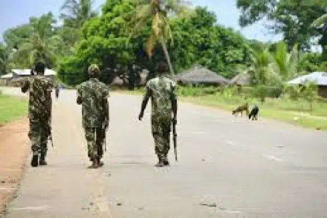 FDS anunciaram a captura do líder Terrorista tanzaniano em Cabo Delgado