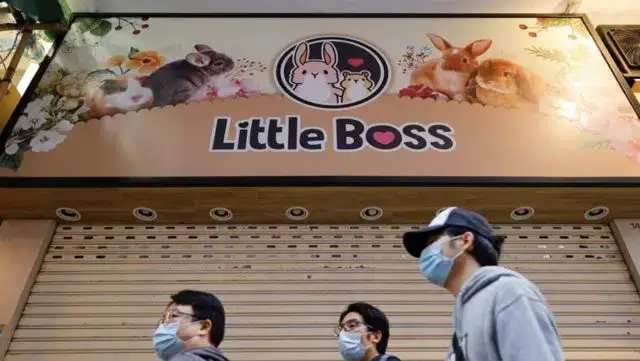 Autoridades pediram a devolução de animais de estimação comprados no Natal após indícios de infecção na China