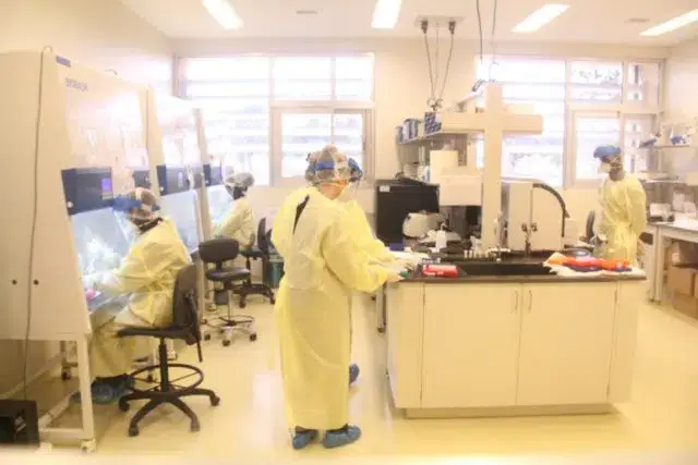 Estima-se seis mil amostras diárias pelo reforço da capacidade de testagem da Covid-19 no país
