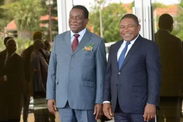 Presidente do Zimbabwe efectua uma Visita de Trabalho ao país