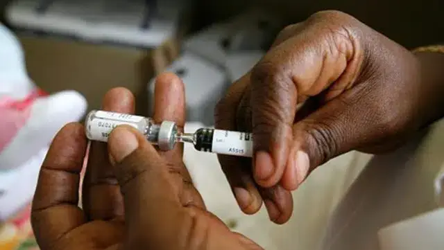OMS vai apoiar seis países africanos com tecnologia de produção de vacinas mRNA