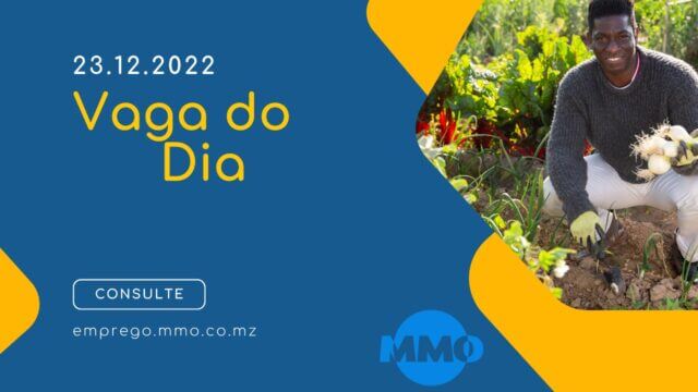 Vaga do dia 23.12.2022