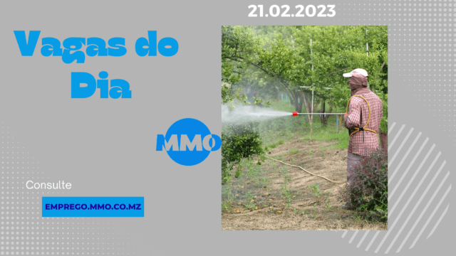 Vaga 21.02.2023
