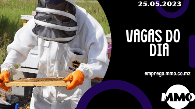 Vaga 25.05.2023