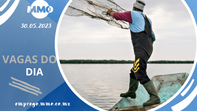 Vaga 30.05.2023