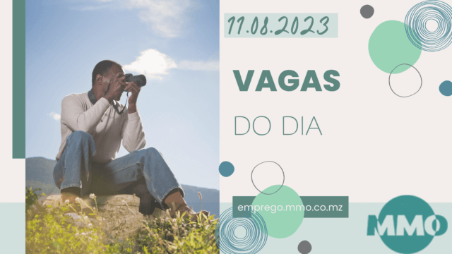 Vaga 11.08