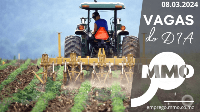 Vaga 08.03.2024