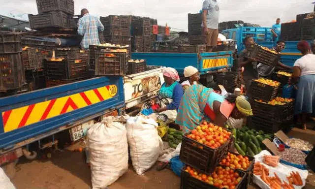 Escassez de tomate no Mercado Grossista do Zimpeto leva a aumento de preços