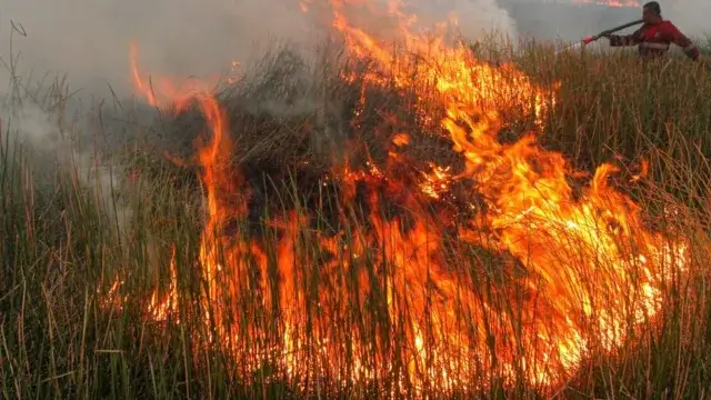 Onda de calor estival desencadeia incêndios florestais na Colômbia