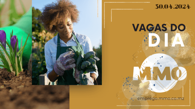 Vaga 30.04.2024