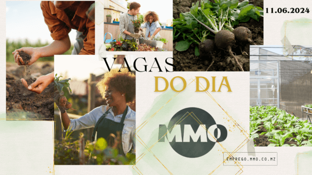Vaga 11.06.2024